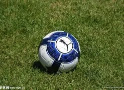 南通三支一,扶招聘考试,体检日程及,金年会6676官方网站,金年会体育6676网页版,金年会官网6676入口,金年会官网6676首页