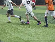 美国,月批发库存,修正后稳居,金年会6676官方网站,金年会体育6676网页版,金年会官网6676入口,金年会官网6676首页