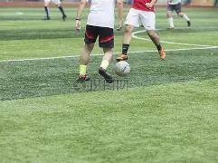 金年会官网,首页,资讯,金年会6676官方网站,金年会体育6676网页版,金年会官网6676入口,金年会官网6676首页