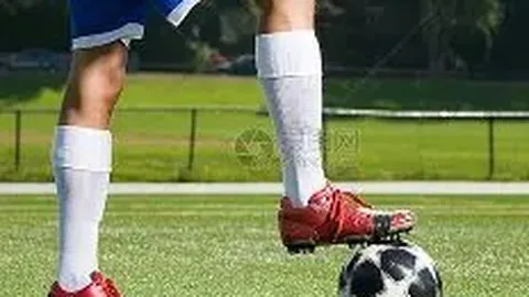 金年会官网6676首页 资讯 103445 88m