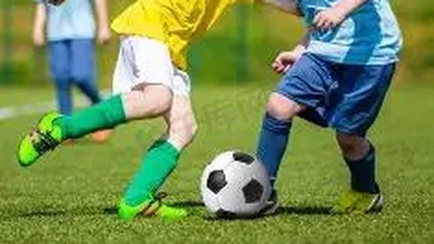 金年会官网6676首页 产品 094047 yam