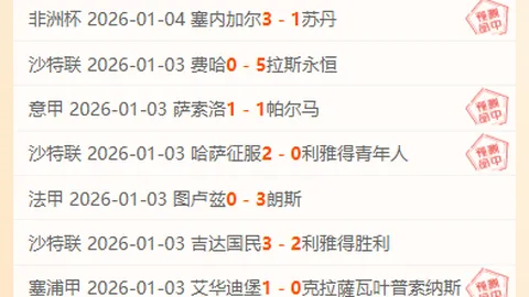 杨佳敏印度羽毛球赛止步八强：国羽一姐错失四强席位