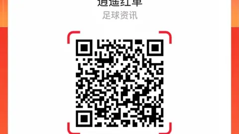 津门虎状态火红，上海海港遭遇人手不足困境金年会官网6676：终极攻略解析